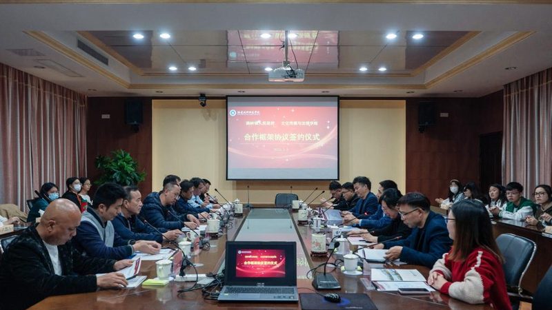 代运营公司效果排名前十