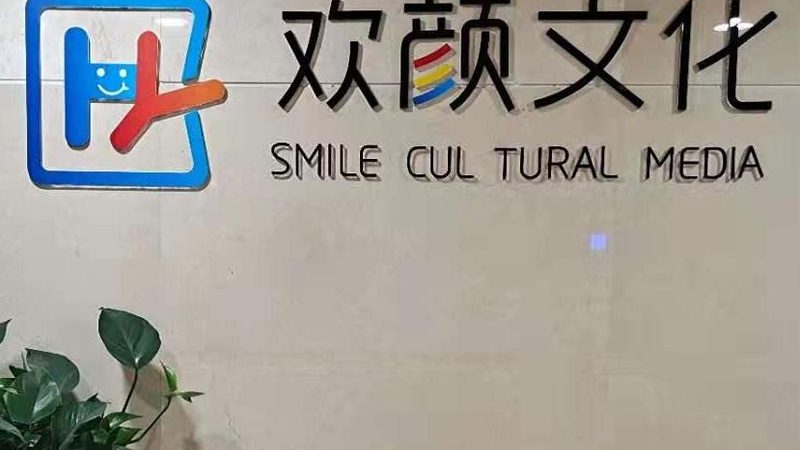 品牌策划设计定制的核心要素与趋势洞察
